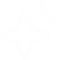 white star icon